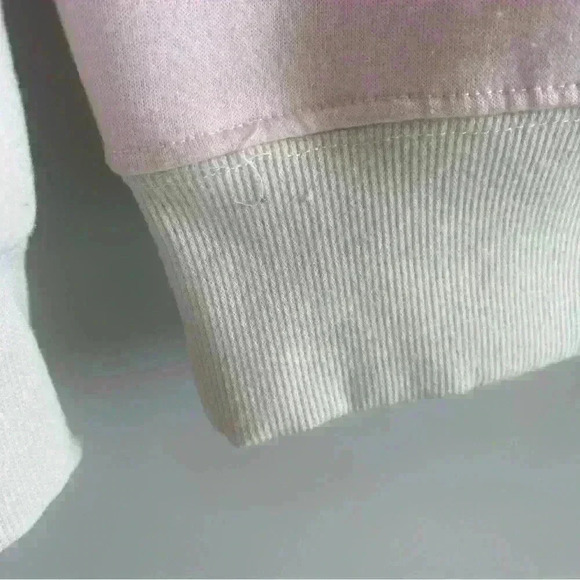 We Are The Superlative Conspiracy WESC Thrills Pastel Hoodie Sweatshirt unisex - Picture 7 of 8